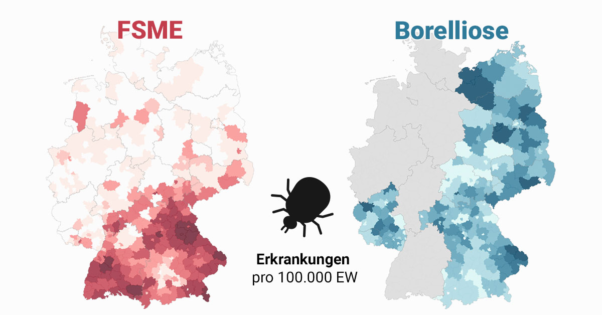 Zecken-Atlas 2020: Wo sich Zecken in Deutschland festsaugen
